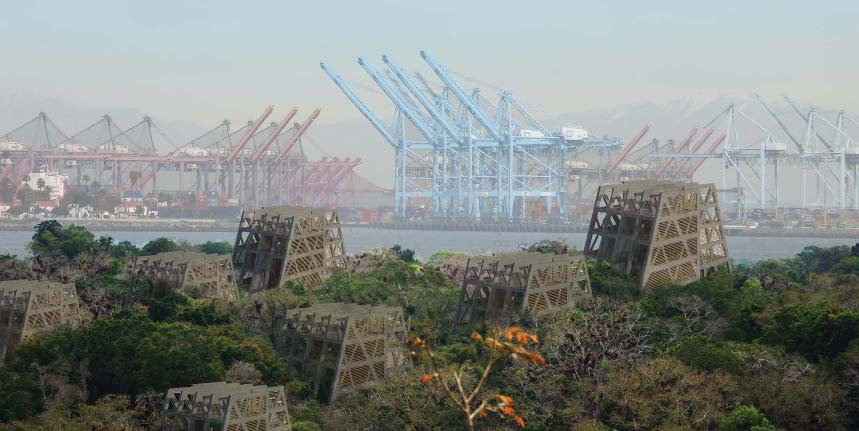 Living Cycles of Ephemeral City