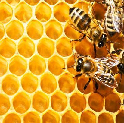 EGDT 2740 – Special Problems in Architecture (Spring 2020)